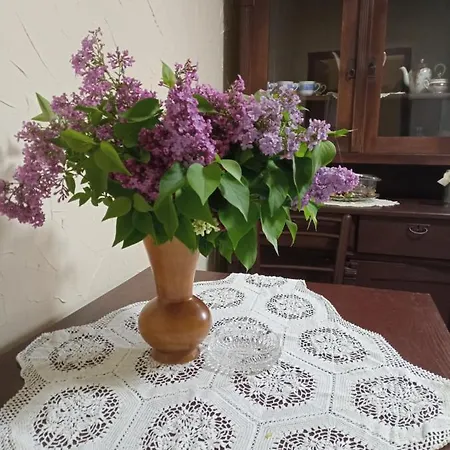 Holiday home Konaciste Mali Izvor Boljevac