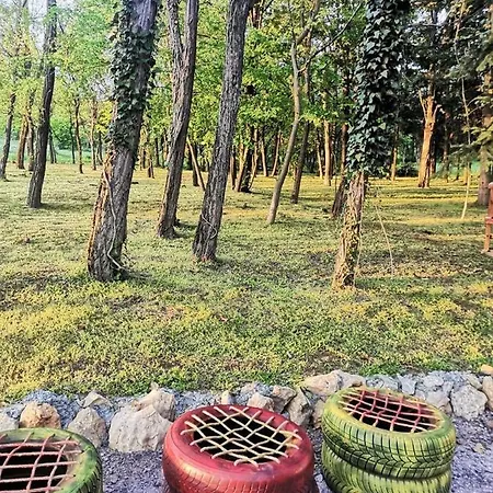 Holiday home Konaciste Mali Izvor *