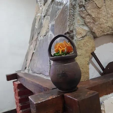 Сasa de vacaciones Konaciste Mali Izvor *