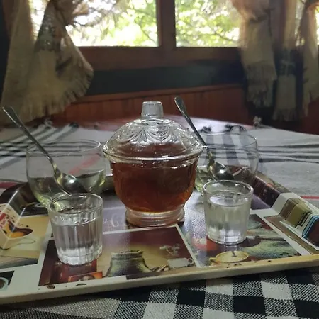 Konaciste Mali Izvor Casa vacanze Boljevac