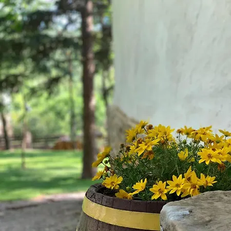 Casa vacanze Konaciste Mali Izvor