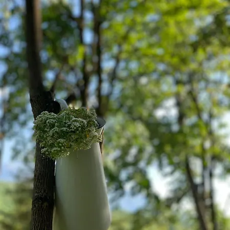 Konaciste Mali Izvor Casa vacanze