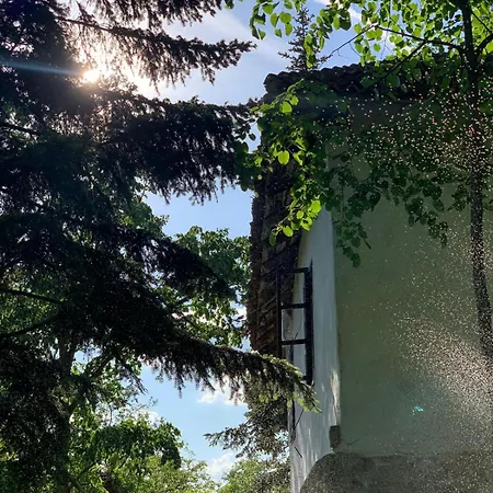 Konaciste Mali Izvor Holiday home