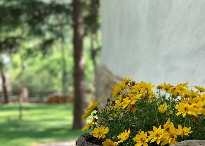 Ferienhaus Konaciste Mali Izvor