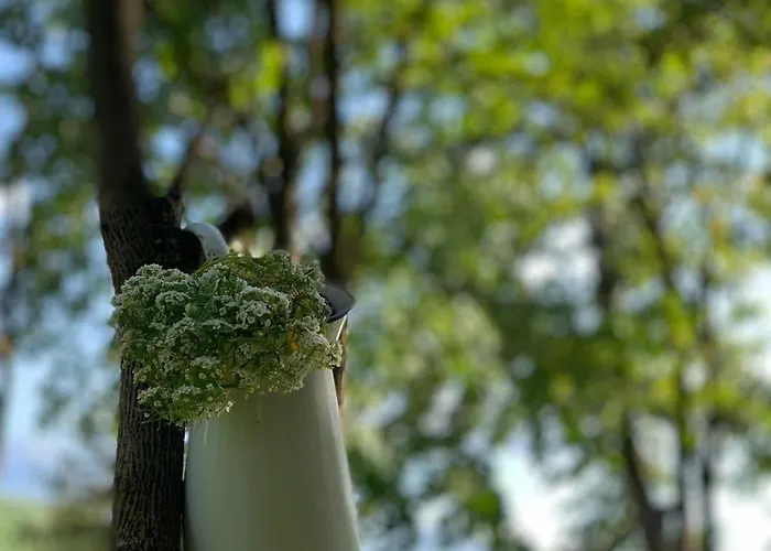 Konaciste Mali Izvor Ferienhaus